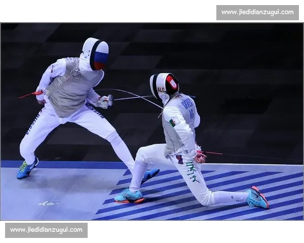 赛法斗：踢击独尊的优雅格斗艺术